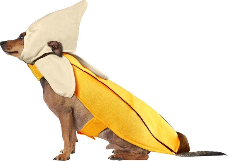 Rubies Banana Pet Costume for Dogs or Cats, XL - Image 4